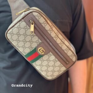 Gucci Bag 5