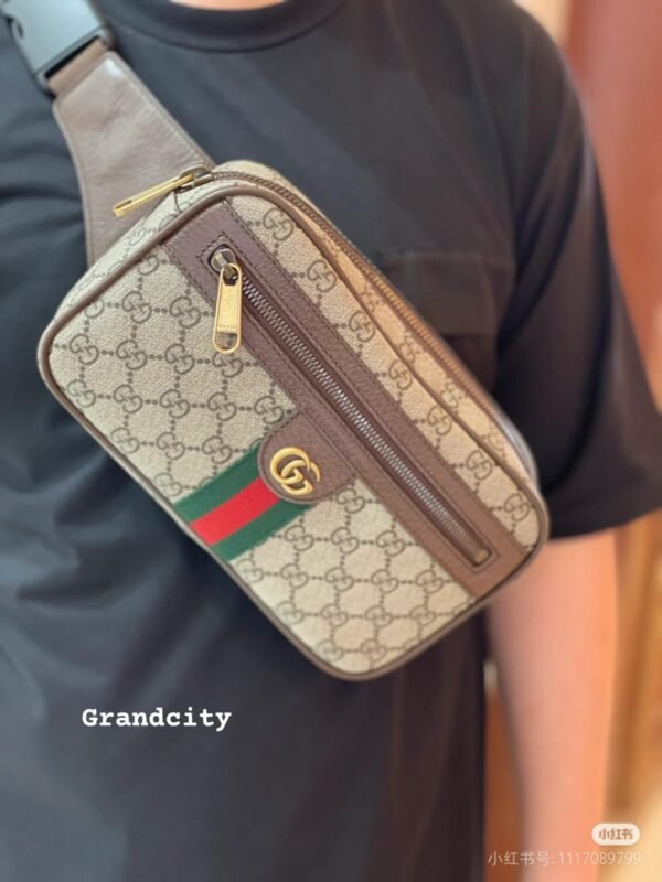 Gucci Bag 5