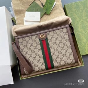 Gucci Bag 6