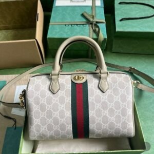 Gucci Bag 12