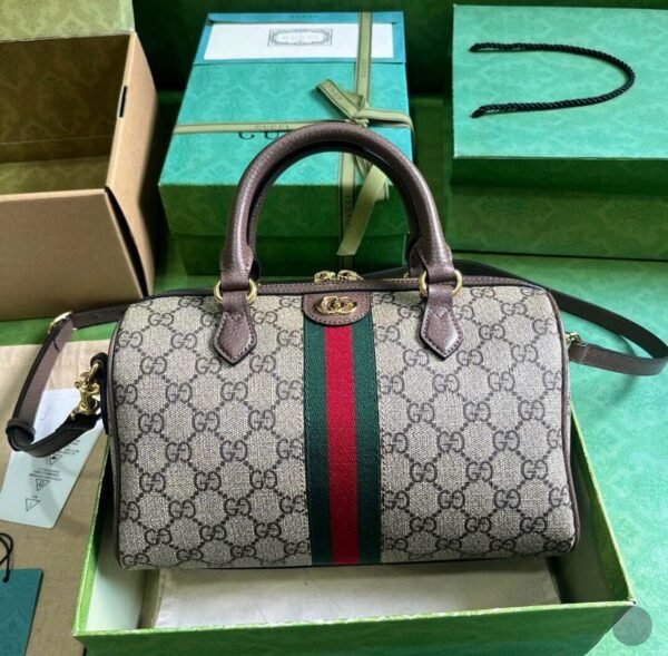 Gucci Bag 13